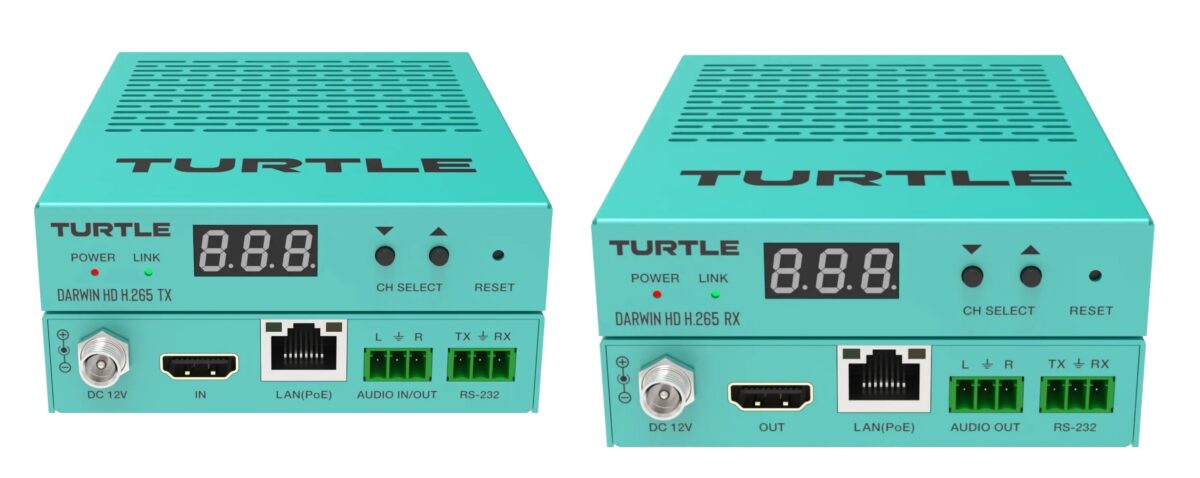 turtle av
