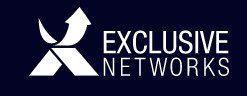 logo Exclusive Networks