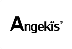 logo Angekis