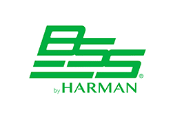 logo BSS